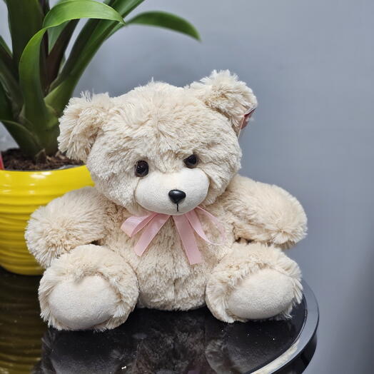 Мягкий медвежонок 25 см