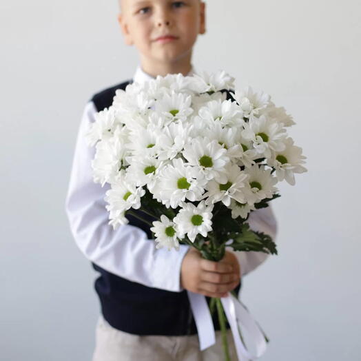 Хризантема ромашковая под ленту