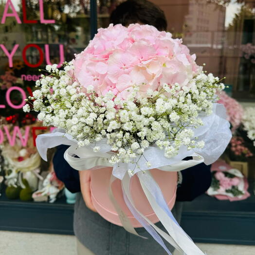 Box z hortensji i gipsowki