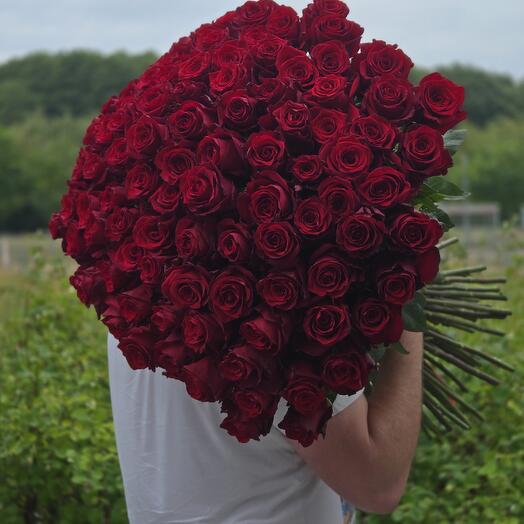 101 red roses 60cm