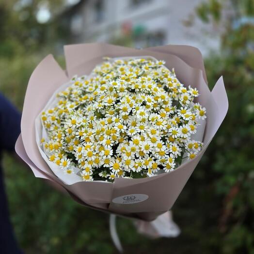 Bouquet  Bouquet  Chamomile""