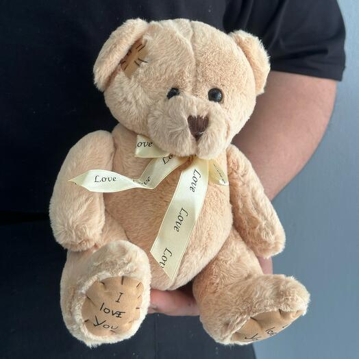 Teddy bear love 20cm