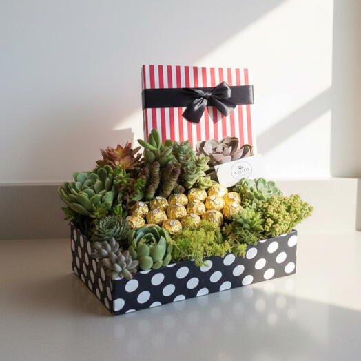 Caja Dulce Suculenta – Arreglo Premium con Suculentas y Ferrero Rocher
