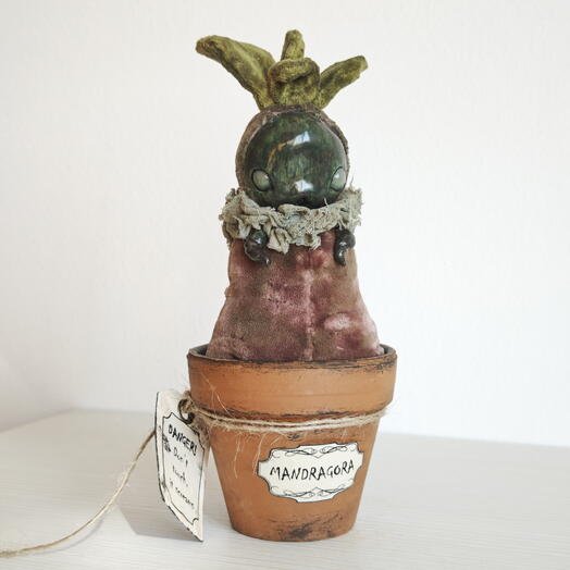 Mandragora (mint eyes)