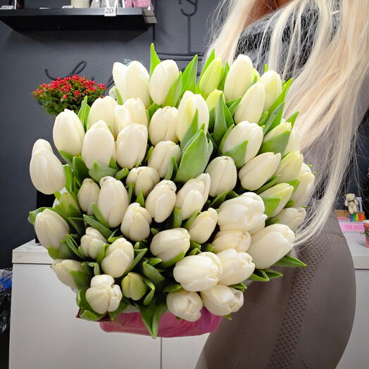 White tulips