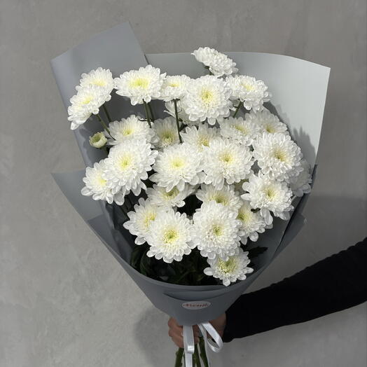 Chrysanthemum white 5