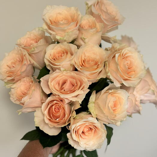 Roses Peach color