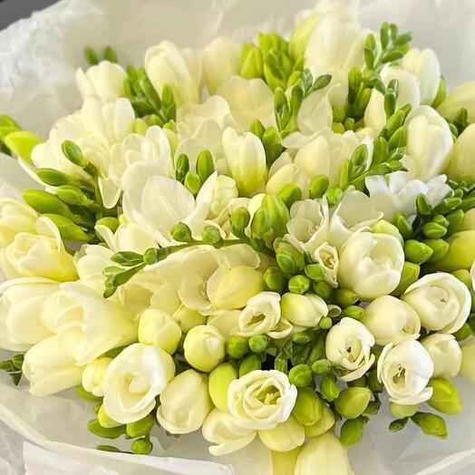 Букет из 51 белой фрезии