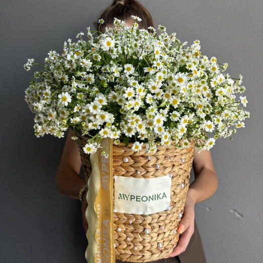 BASKET WITH DAISIES   PEARLS