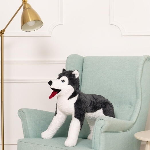Husky dog color white /gray 70 cm