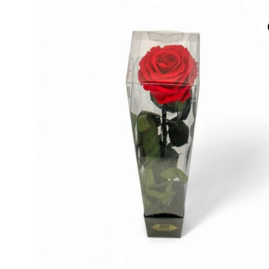 Rosa Preservada LULU Box