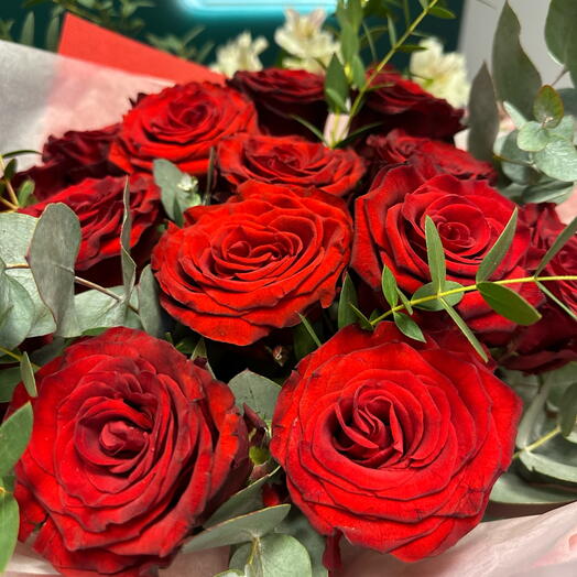 Rosa Roja Amor Ardiente 15