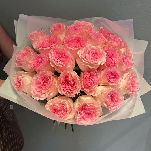 24 rosas rosadas