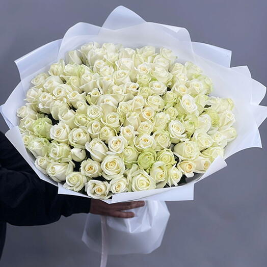 101 trandafiri albi 60 cm