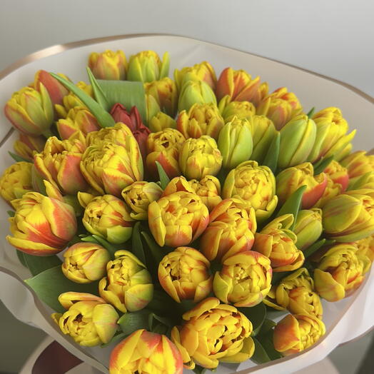 Tulipany pełnokwiatowe