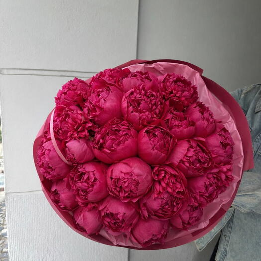 Pfingstrosen dunkel  Rosa