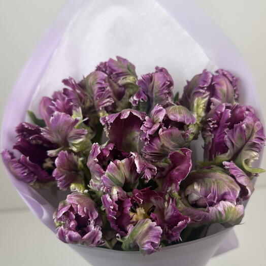 Tulips Bouquet Mysterious Parrot