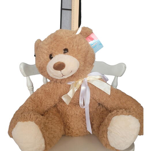 Bear