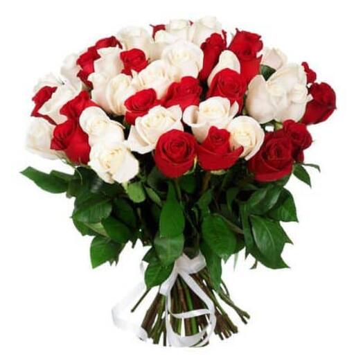 51 red and white roses