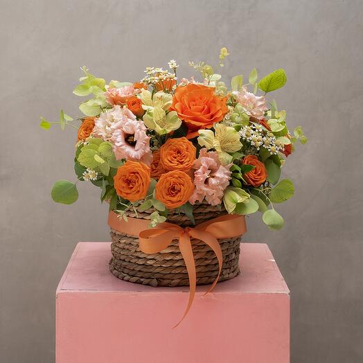 Sunshine: Seasonal Flowers