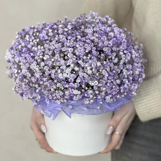 Лиловые гипсофилы в коробке