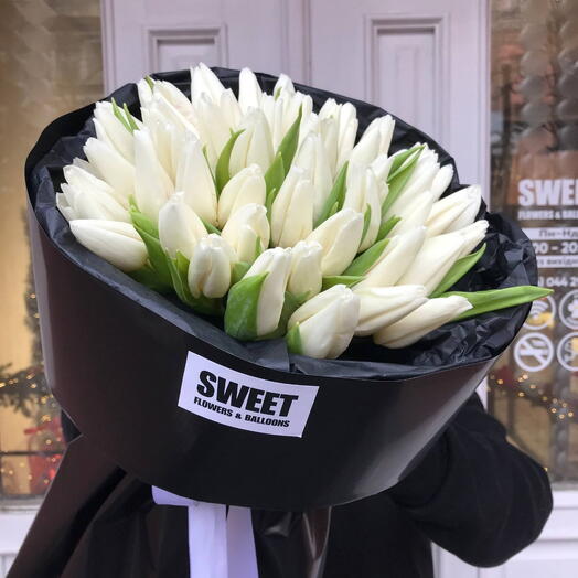 51 White Tulips