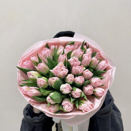 Delikatność Tulipanow