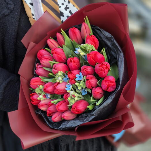 Czerwone Tulipany z oxy