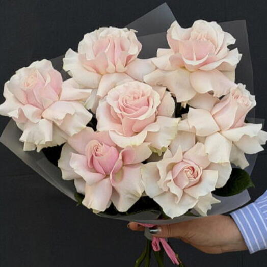 Rosa francese