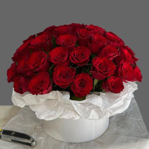 51 red roses in box