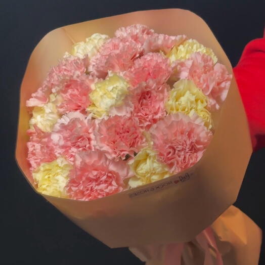 🍧Sorbete de fruta - Clavel súper duradero — Colores surtidos