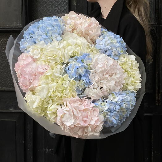 Hydrangea 11 mix