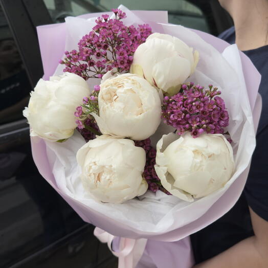 Five Blush Peonies