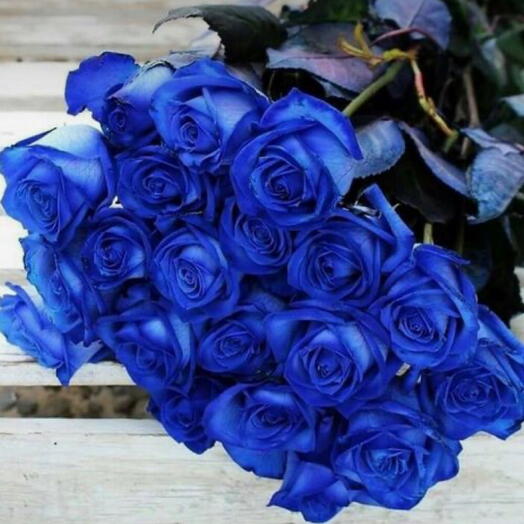 25 BLUE ROSES TALL