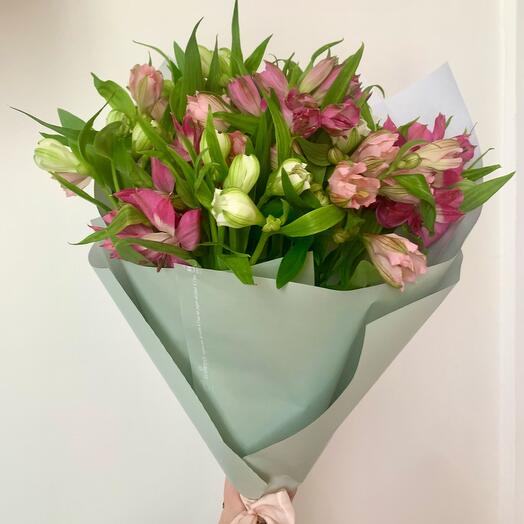 Alstroemeria mix