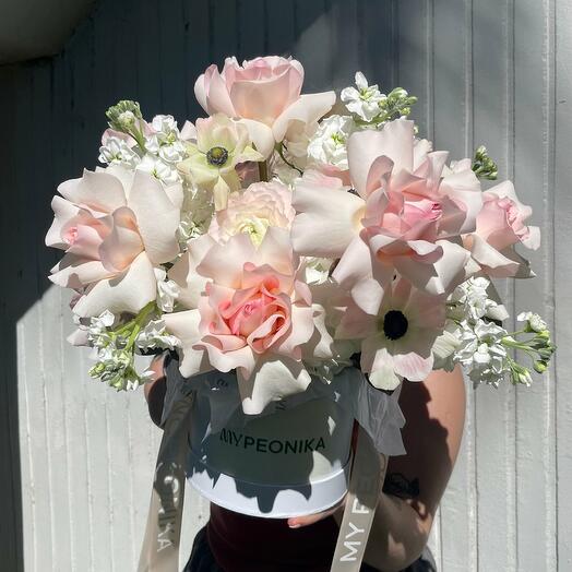 FLOWER BOX ANEMONE AMOUR