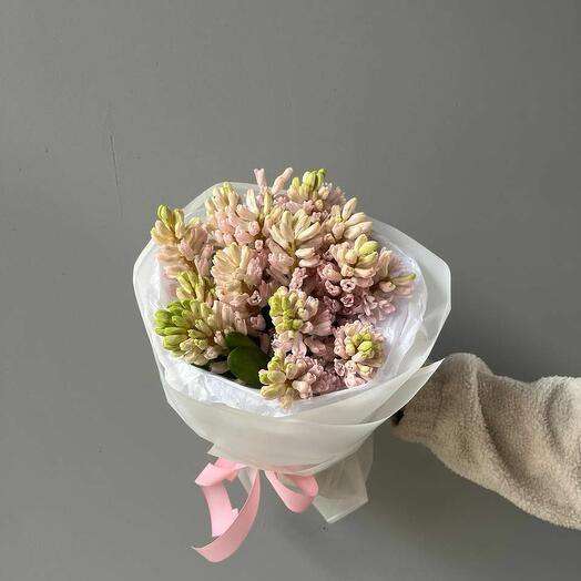 Pink hyacinth