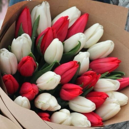 Tulips