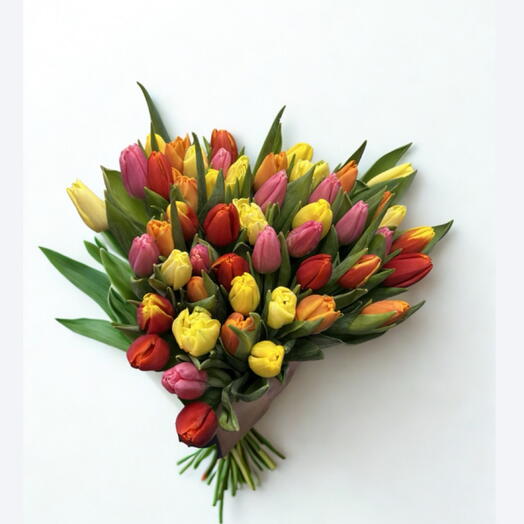 Varikas tulppaani kimppu (51kpl)