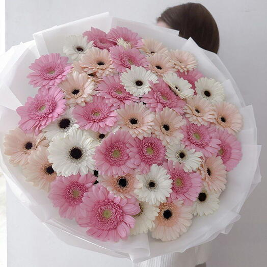 Gerbera Beauty!  Win Her heart at first sight :)