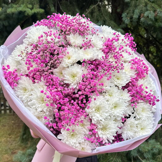 Harmony of Shades 💞