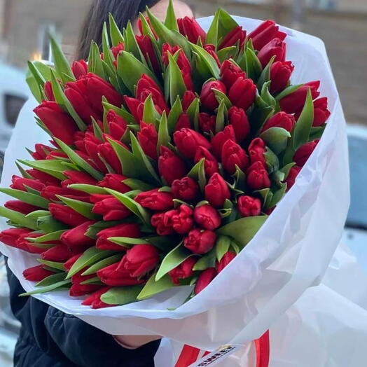 101 Red Tulips