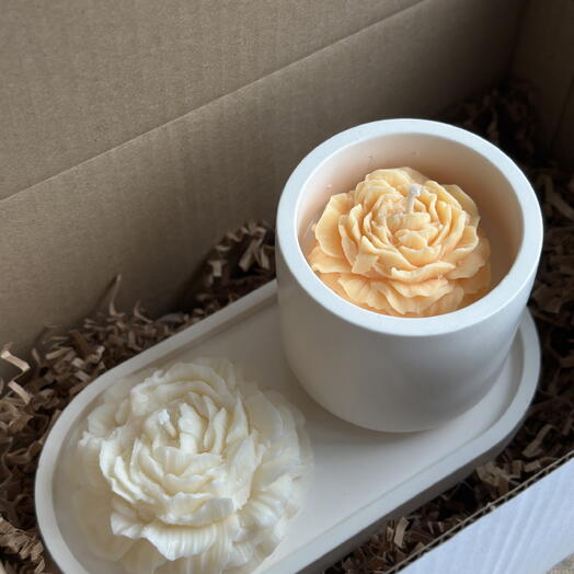 Peach duet - set of candles with a plaster base