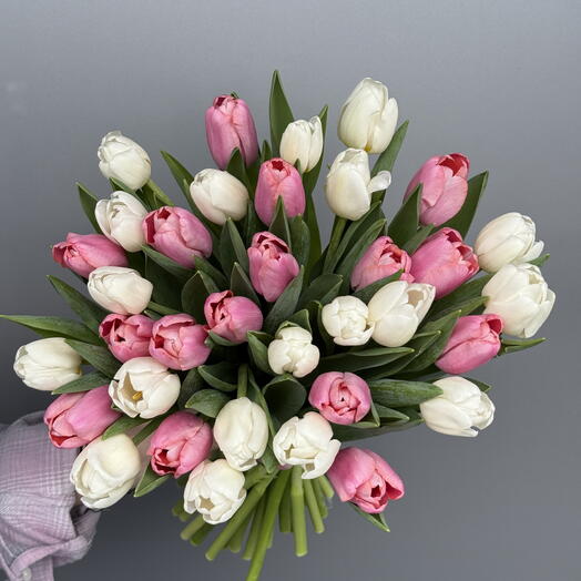 Pink and White tulips 35 stems