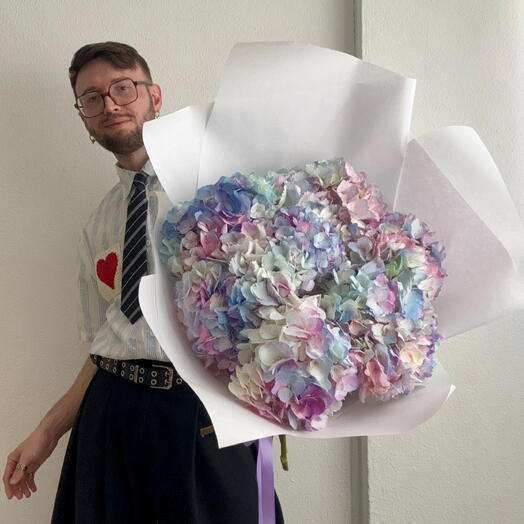 CLOUD OF COLOURFUL HYDRANGEAS