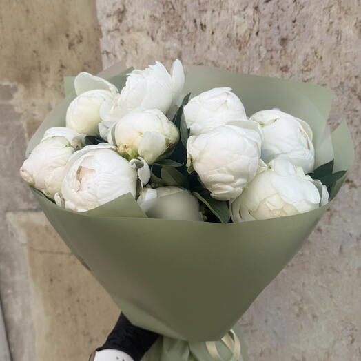 Pionias