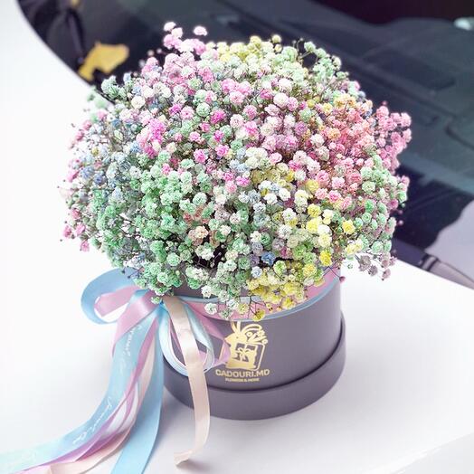Коробка с разноцветной гипсофилой