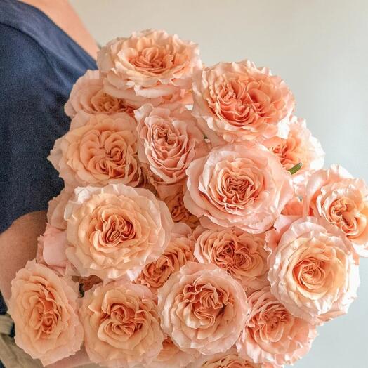 Shimmer love 9 piece