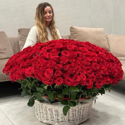 Огромная корзина из 301 красной розы
