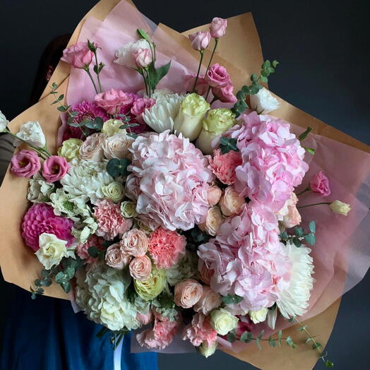 Cloud Puff (hydrangea rise lisi)